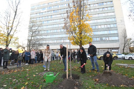 Faültetés – fennállásának 50. évfordulóját ünnepli idén a Nemes Nagy Ágnes Kollégium
